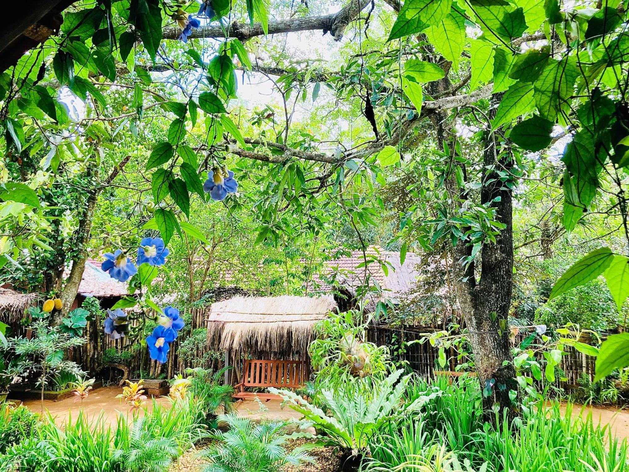 Green Paradise Cottage Udawalawa ウダワラウェ エクステリア 写真