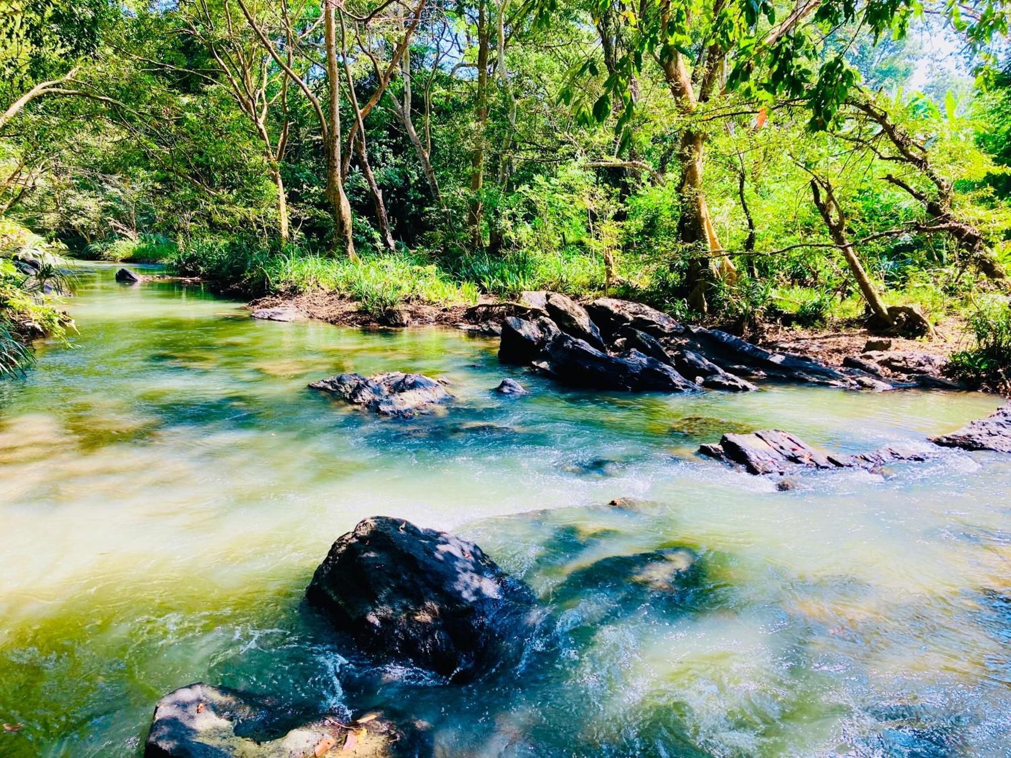 Green Paradise Cottage Udawalawa ウダワラウェ エクステリア 写真