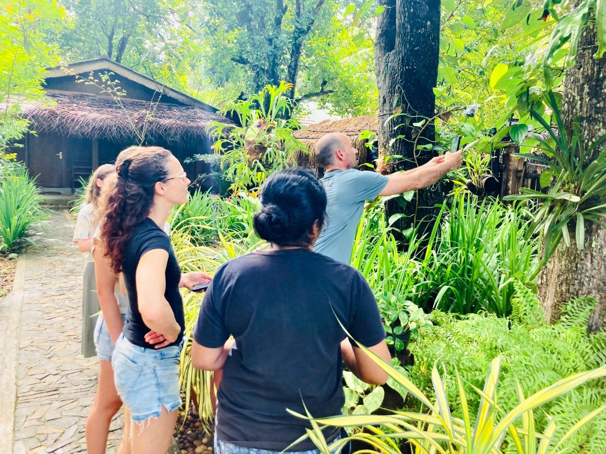 Green Paradise Cottage Udawalawa ウダワラウェ エクステリア 写真