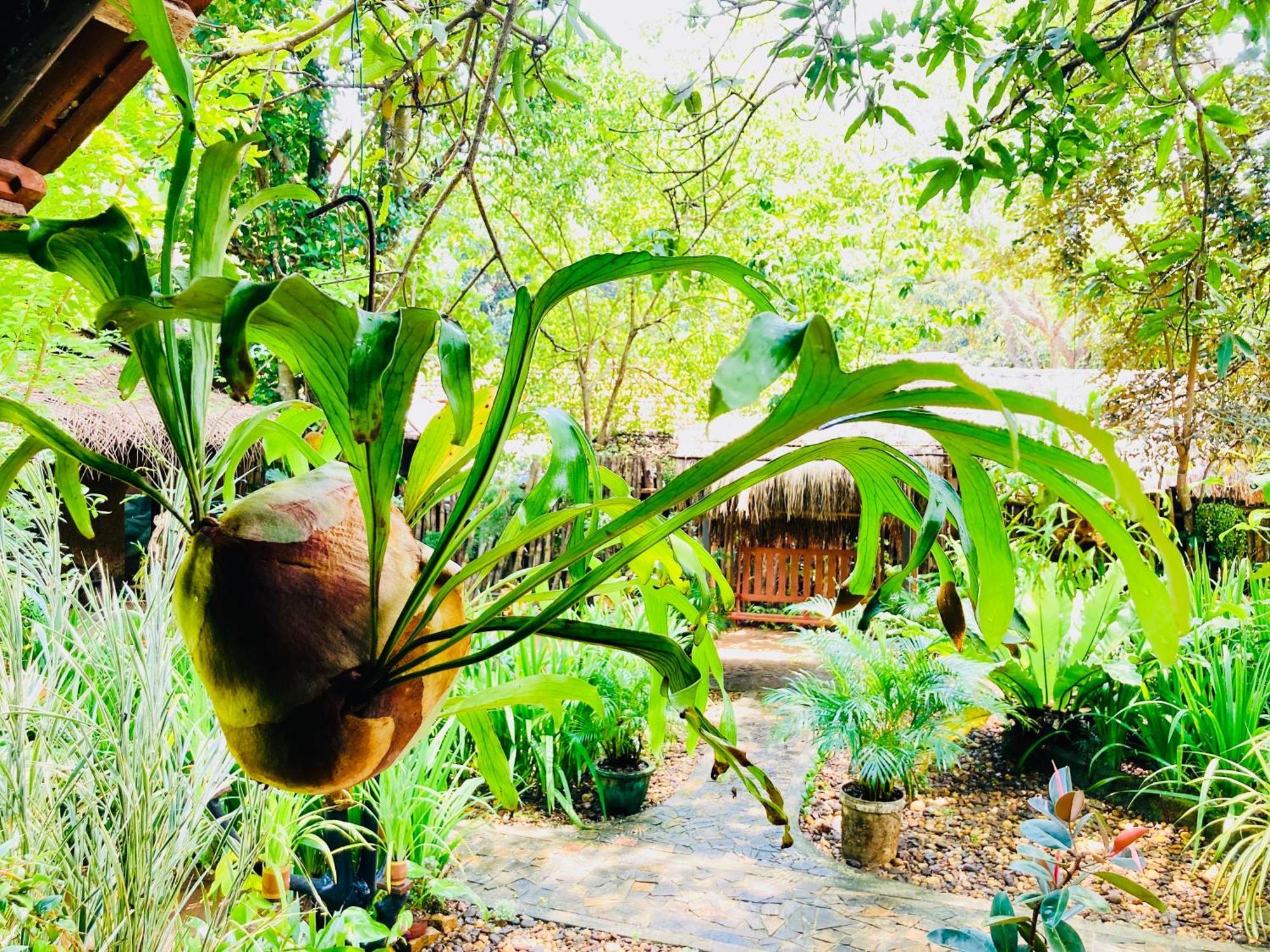 Green Paradise Cottage Udawalawa ウダワラウェ エクステリア 写真