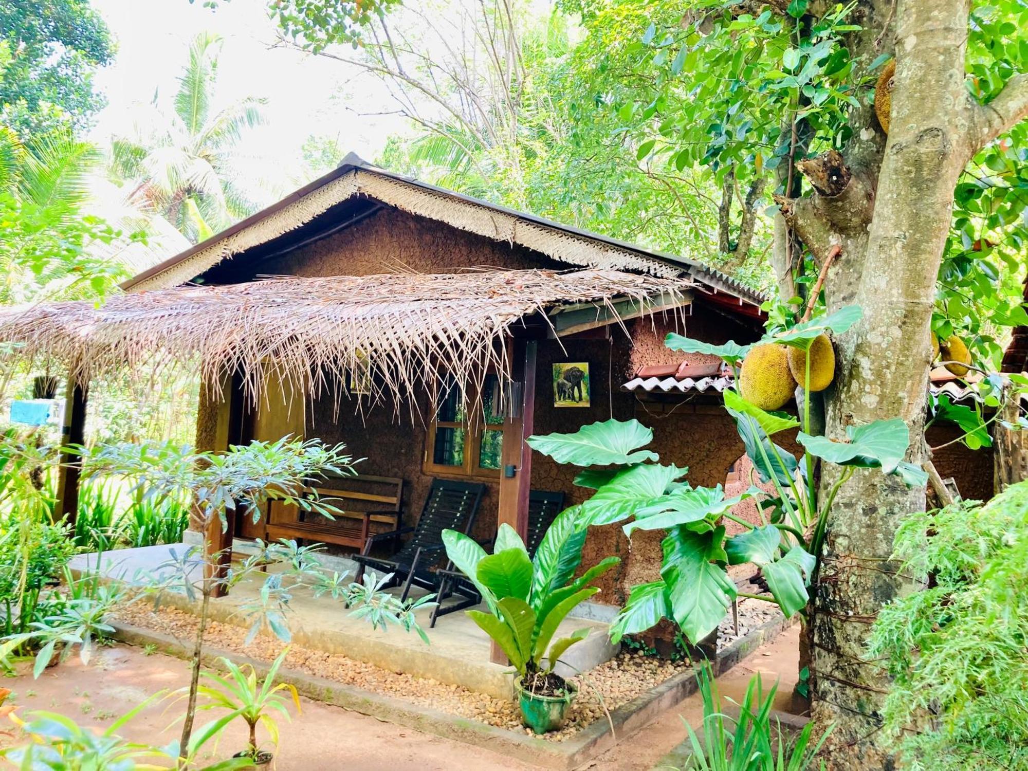 Green Paradise Cottage Udawalawa ウダワラウェ エクステリア 写真