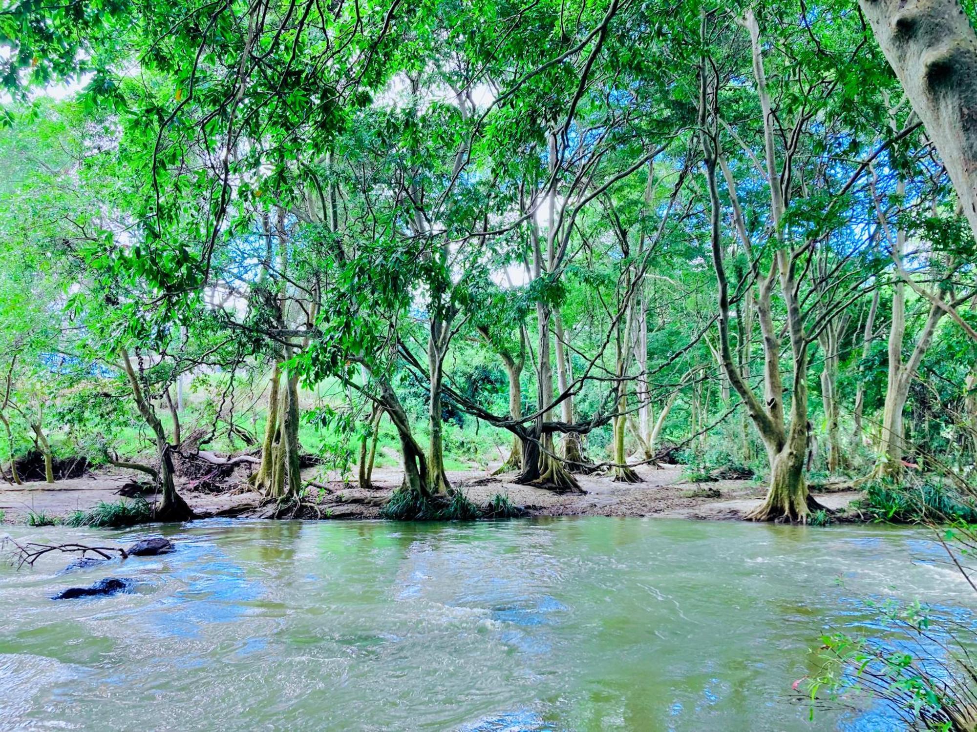 Green Paradise Cottage Udawalawa ウダワラウェ エクステリア 写真