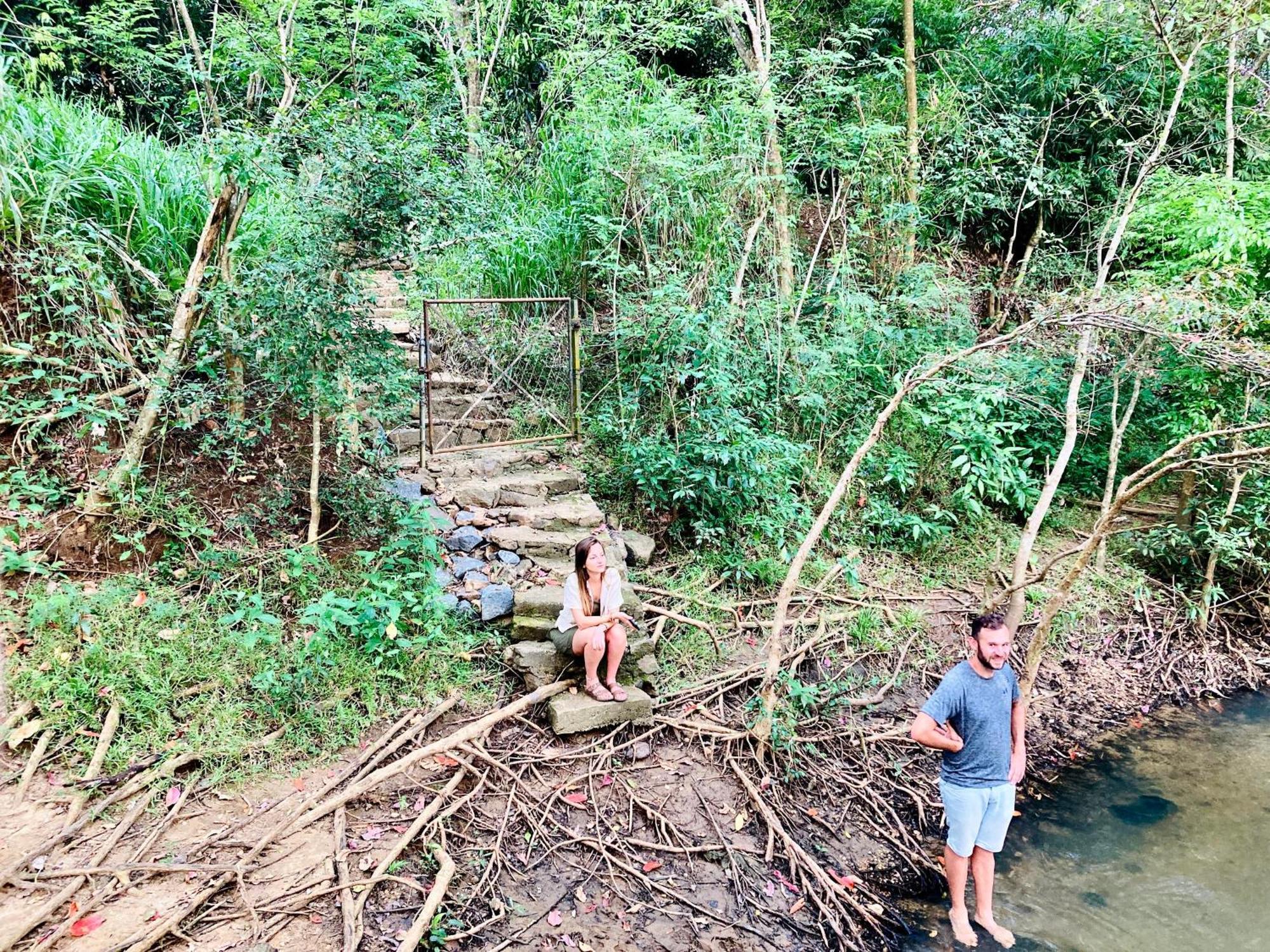 Green Paradise Cottage Udawalawa ウダワラウェ エクステリア 写真